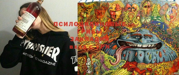 apvp Арсеньев