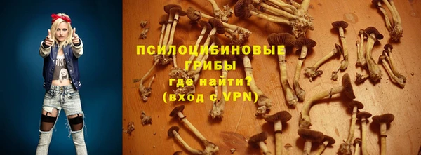 мет Абаза